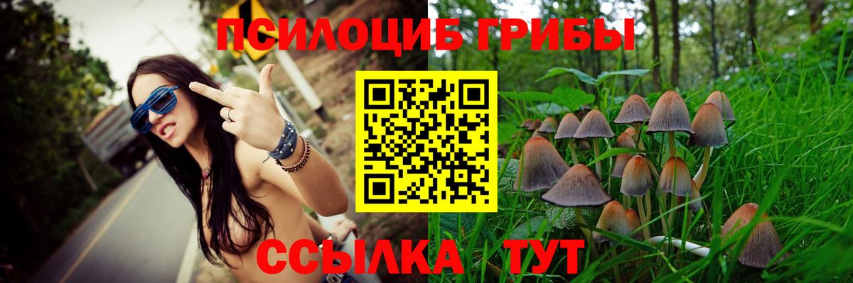 Галлюциногенные грибы прущие грибы  Псилоцибиновые грибы мухоморы  Татарск  Вход с VPN 